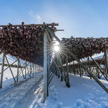 Dağ evi Cozy With Stunning View Alstad (Nordland)