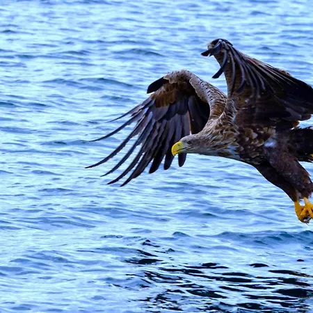 Cozy With Stunning View Chalet