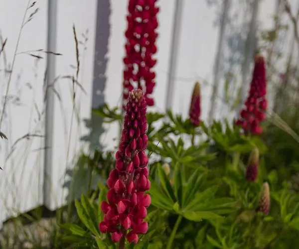 شاليه Cozy With Stunning View *